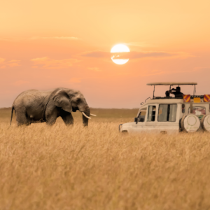 Maasai Mara Vehicles