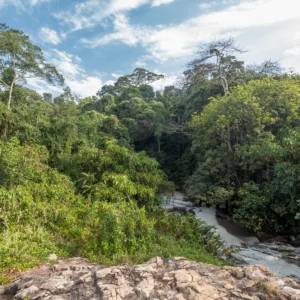 Mabira Rain Forest River and Waterfall Uganda