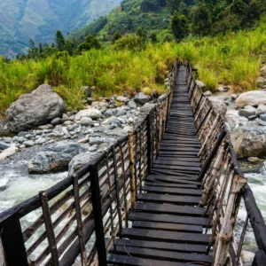 Rwenzori Mountains Footbridge Stream