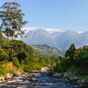 Rwenzori Mountains Wild Terrain