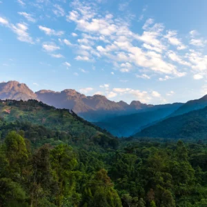 Rwenzori Mountains Wilderness Trail