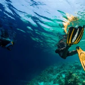 Snorkelling Diani