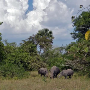 Ziwa Rhino Sanctuary Hiking Trail