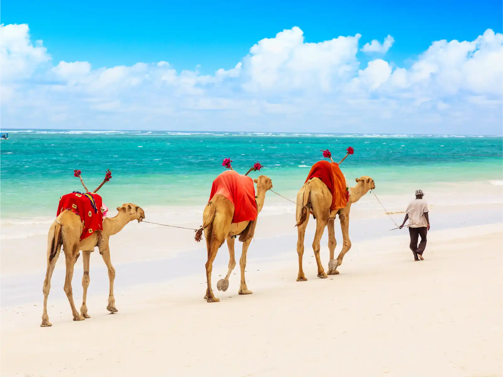 Diani Beach