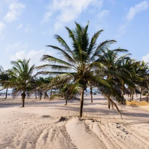 diani–