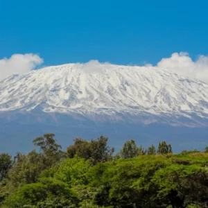 kilimanjaro-summit-savannah-tanzania
