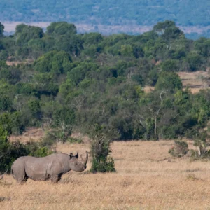 laikipia-plateau