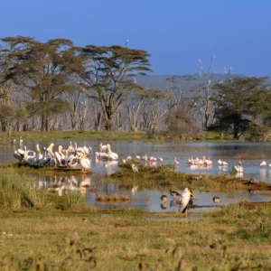 lake-baringo