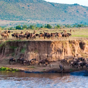 maasai-mara-national-reserve