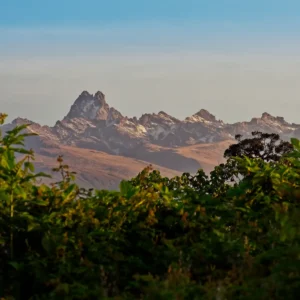 mount-kenya-cloud-forest