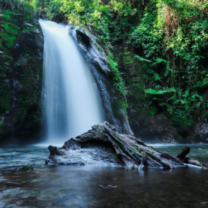 mount-kenya-rainforest-waterfall