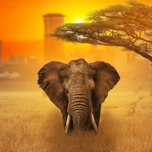 nairobi-kenya