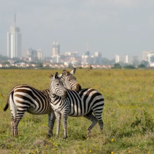 nairobi-national-park