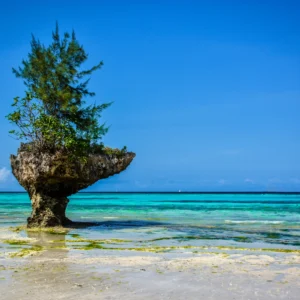 pemba-island-zanzibar