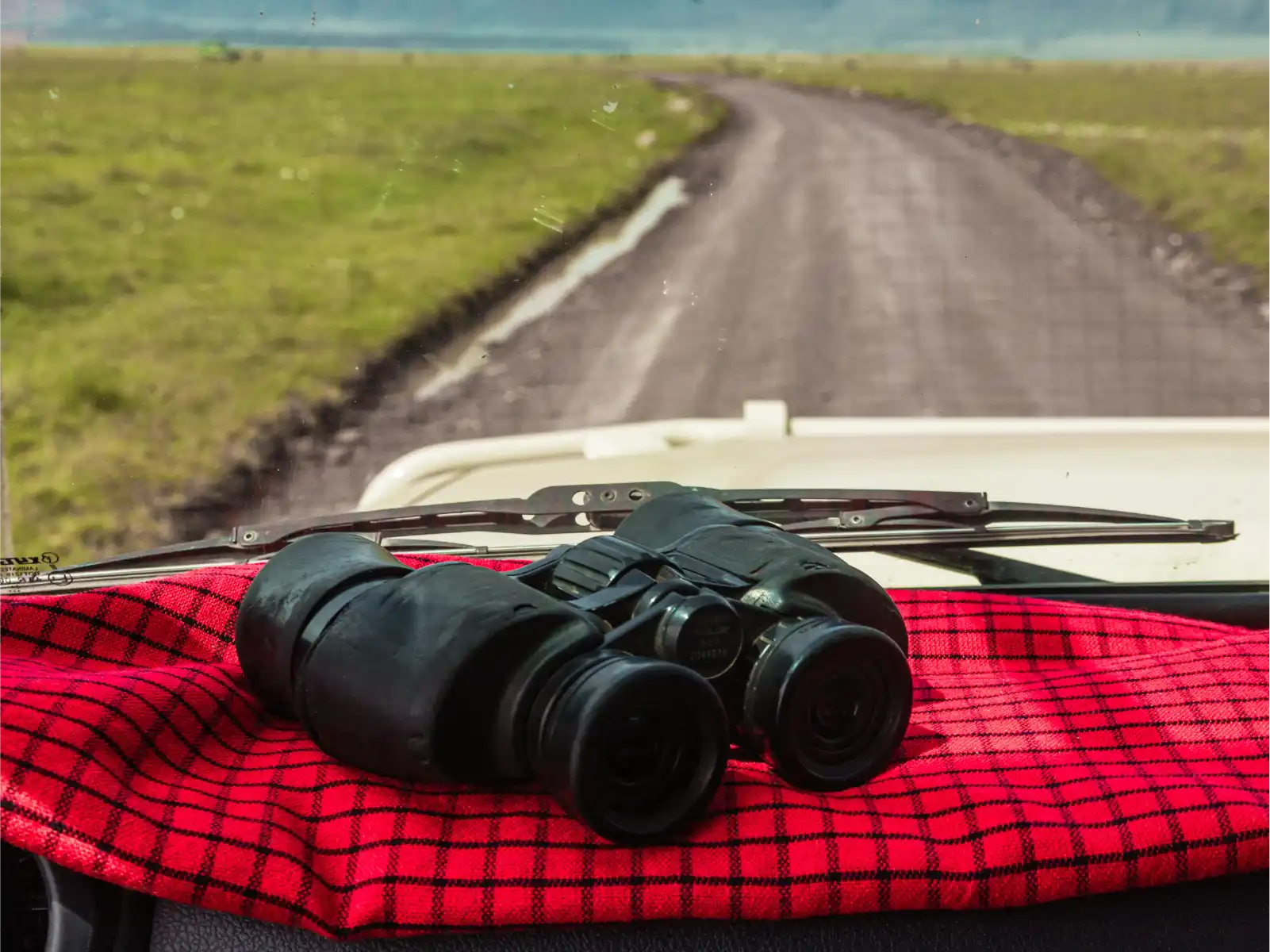 safari-binoculars-ngorongoro-tanzania