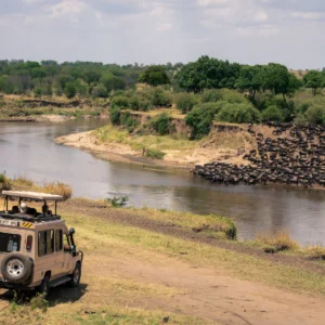 serengeti-national-park