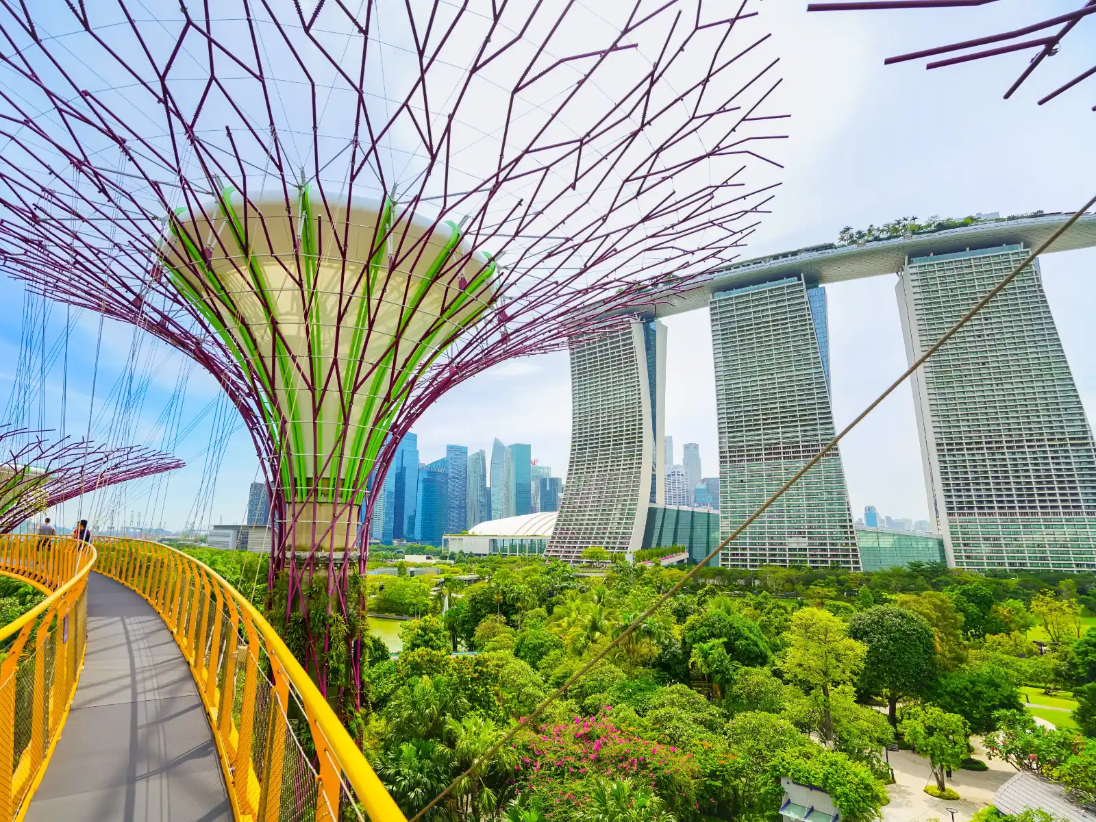 Gardens by the Bay Skyway, Singapore