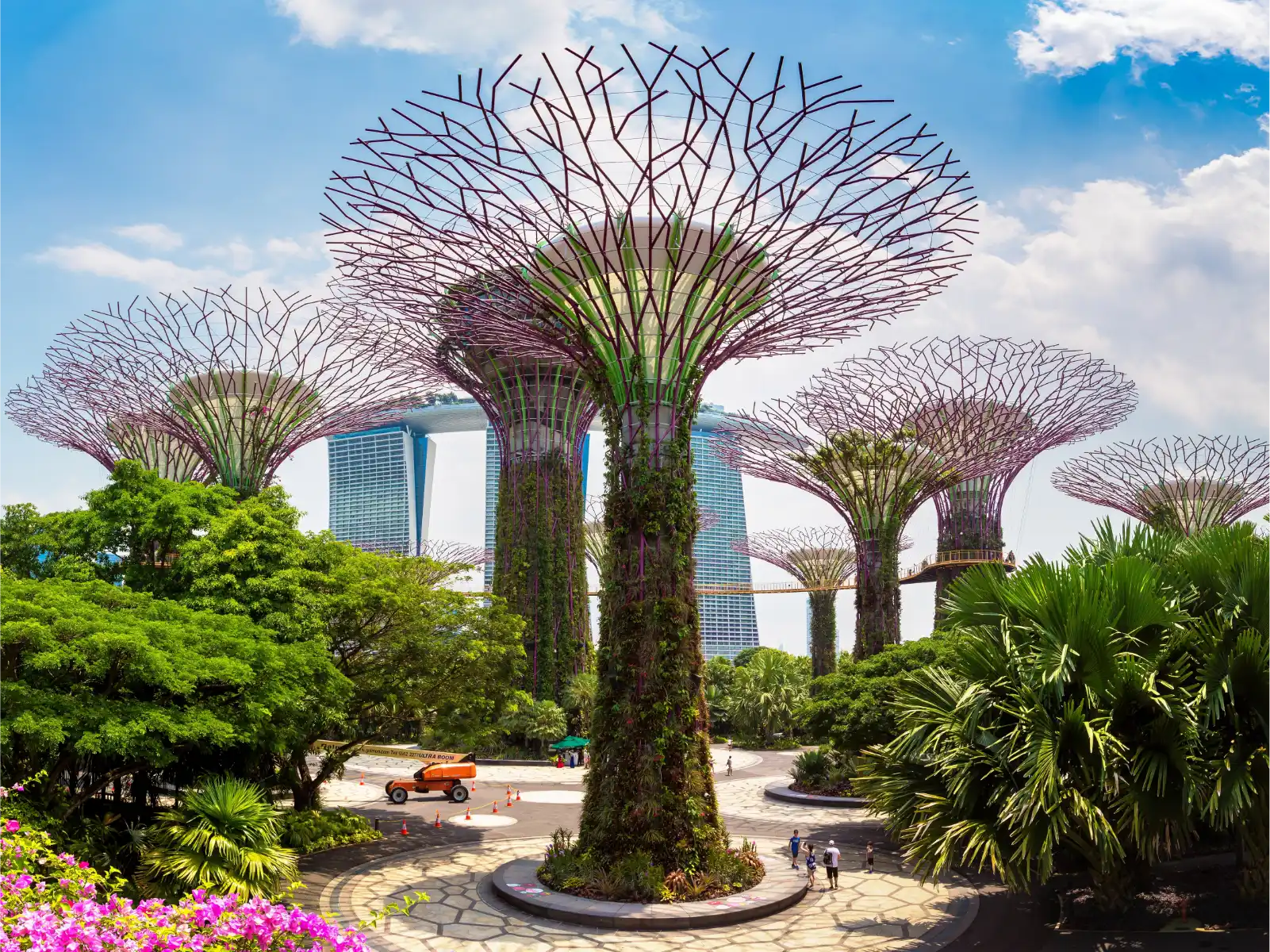 Gardens by the Bay Supertrees, Singapore