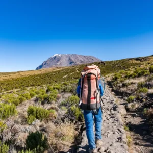 trekking-route-kilimanjaro-tanzania